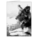 Happy Father's Day Belgian Shepherd Dog Card
