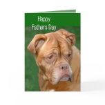 Happy Fathers Day cards