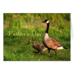 Happy Father's Day Cards