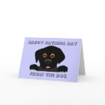 Happy Fathers Day , From the Dog cards