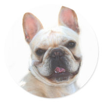 Happy French Bulldog stickers