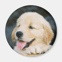 Happy Golden Retriever Puppy Decor Magnet