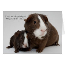Happy GRADUATION Greeting Cards