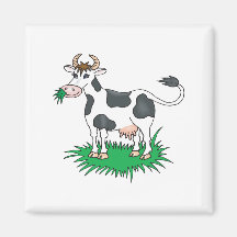 happy grazing cow magnets