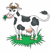 happy grazing cow photo cutouts