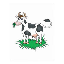 happy grazing cow postcard