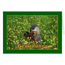 Happy Groundhog Day! Card