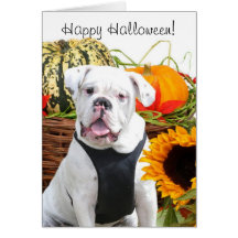 Happy Halloween bulldog Greeting Cards