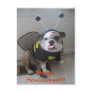 Happy Halloween, English Bulldog Postcard