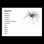 Happy Halloween party Spider business cards