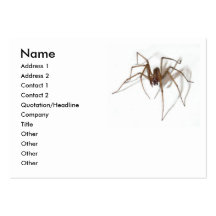 Happy Halloween party Spider Business Cards