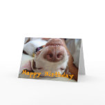Happy Happy Birthday