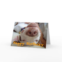 Happy Happy Birthday