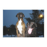 Happy Happy Dogs!! Canvas Prints