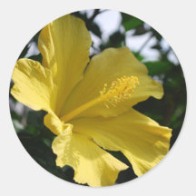 'Happy Hibiscus' Stickers