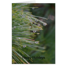 Happy Holidays Card