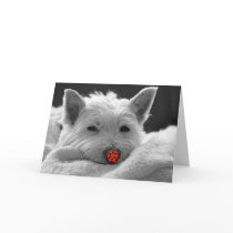 Happy Holidays - Cute Westie Dog Card