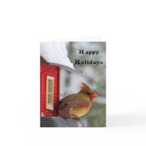 Happy Holidays female cardinal