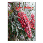 Happy Holidays Greeting Card