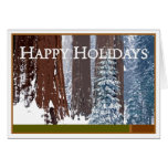 Happy Holidays Greeting Cards