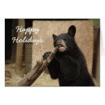 Happy Holidays - Lanikai Greeting Card