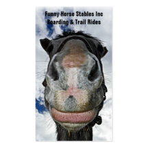 Happy Horse! Funny Nosey Horse Smiles Business Card