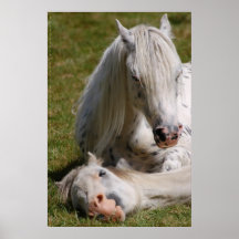 Happy Horses, East Sussex. Posters