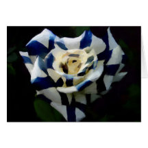 Happy Independence Day, Finland! Cards