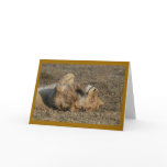 Happy Kitty Greeting Cards