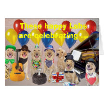 Happy Lab Birthday Greeting Cards