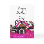 Happy Mother's day boxer greeting card