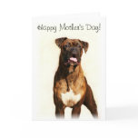 Happy Mother's Day Boxer greeting card