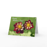 Happy Mother's Day Card