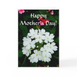 Happy Mother's Day! cards