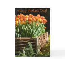 Happy Mother's Day! Card