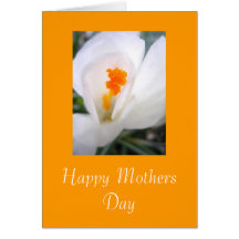 Happy Mothers Day Card