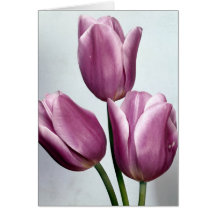 Happy Mother's Day Card with Poem