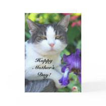 Happy Mother's day Cat in the garden card