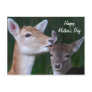 Happy Mother's Day - Doe and Fawn Post Cards