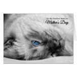 Happy Mothers Day from the Cat Siamese cards