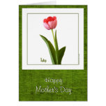 Happy Mother's Day - One Pink Tulip Cards