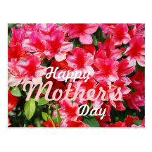 Happy Mother's Day - Pink Azalea Postcard