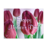 Happy Mother's Day Rosey Tulips postcards