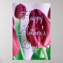 Happy Mother's Day Rosey Tulips
