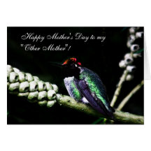 Happy Mother's Day to My Other Mother Cards