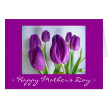 Happy Mother's Day Tulip Card