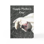 Happy Mother's Day White boxer greeting card