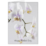 Happy Mother's Day - White Orchids Greeting Cards