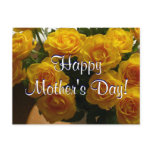 Happy Mother's Day Yellow Roses I postcards