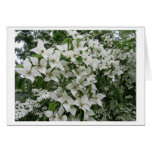 Happy New Life Together Greeting Cards
